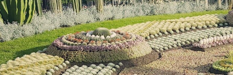 Carl Johans Park