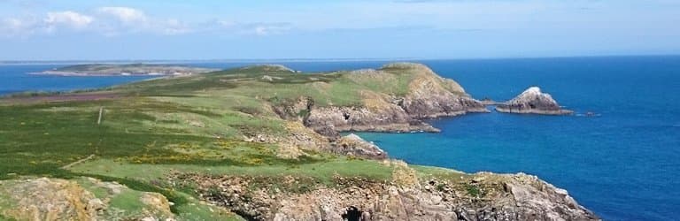 Great Saltee