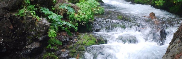 McHugh Creek Recreation Area