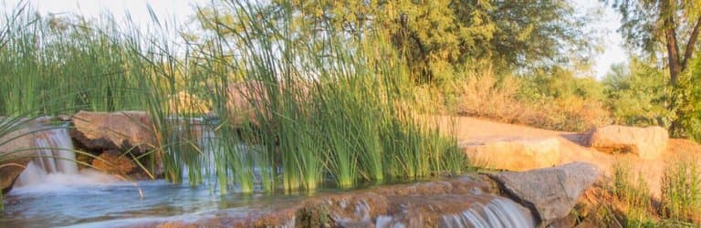 Veterans Oasis Park