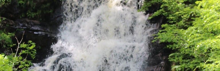 Lodge Forest Visitor Centre
