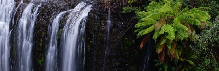 Guide Falls Reserve