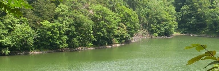 Lake Hangetsu