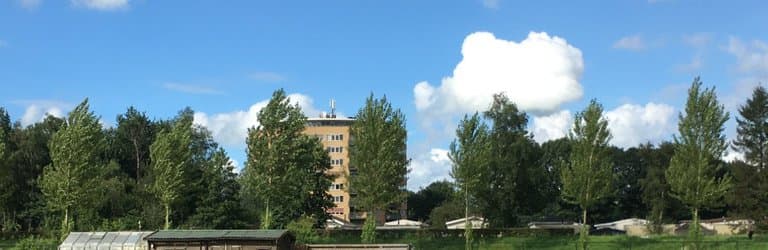 Blomsterområde, ved siden af legepladsen