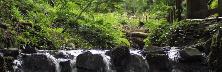 water stream in Summerhill Glen