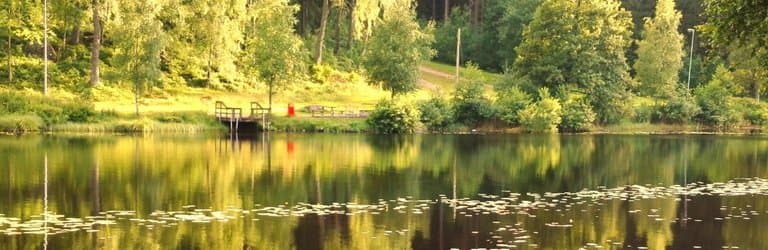 Rastplats vid Kypesjön