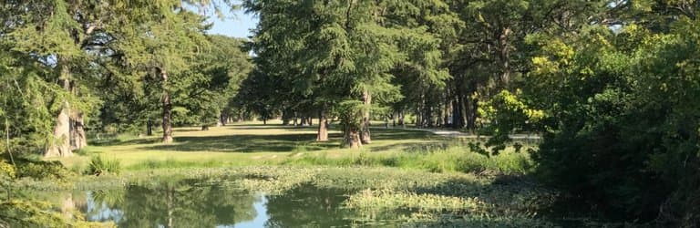 View of river 3