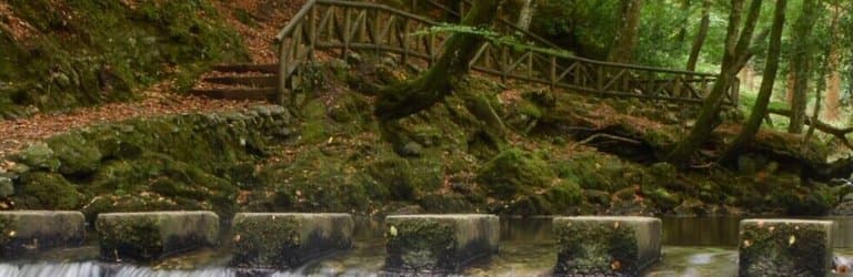 Tollymore Forest Park