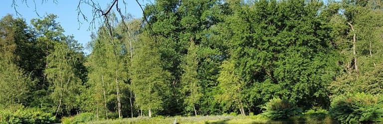 Uitzicht op de grote vijver