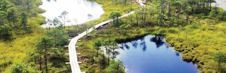 Great Ķemeri Bog Boardwalk