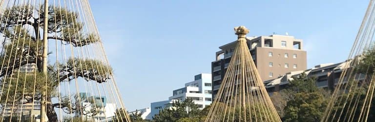 美浜園と梅林は一見の価値ありです。