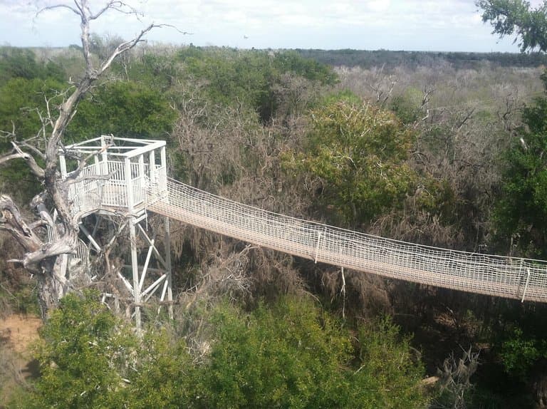 Santa Ana National Wildlife Refuge Alamo Texas