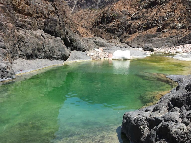 Natural pond