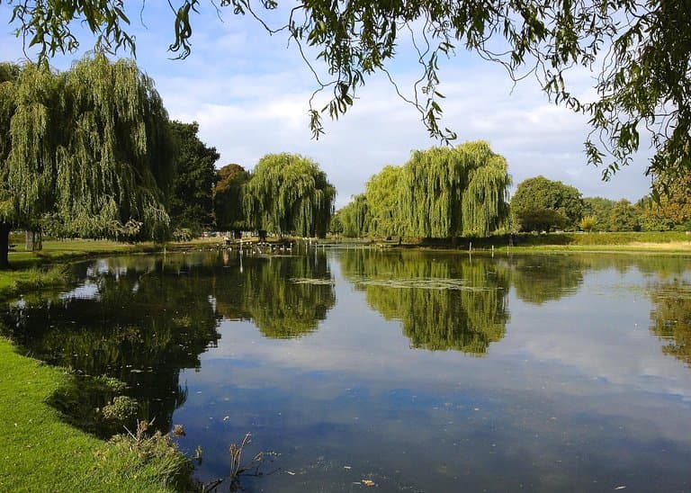 Upper Lodge Water Gardens Bushy Park