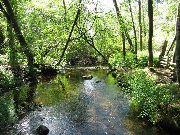Stream