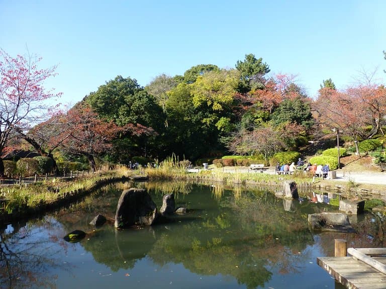 紅葉がきれいでした
