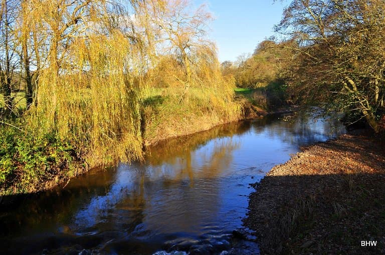 Otter River at Otterton Mills