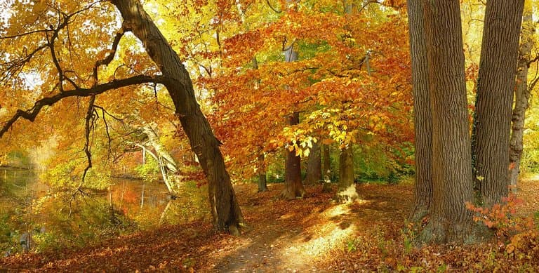 Bailey Arboretum Nov. 2013