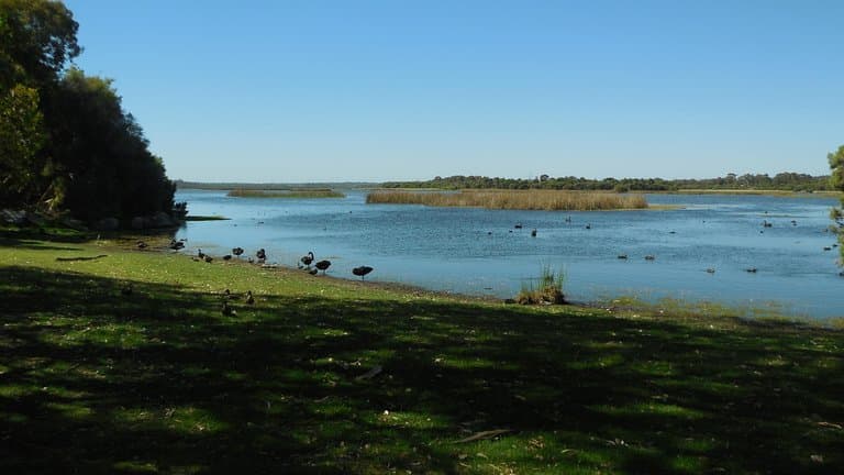 lake view