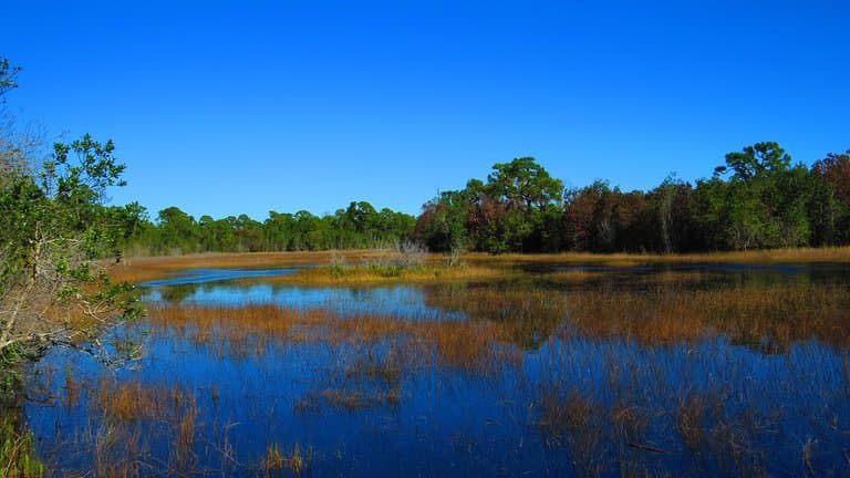 Inlet Sanctuary