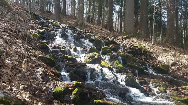 Linn Run State Park