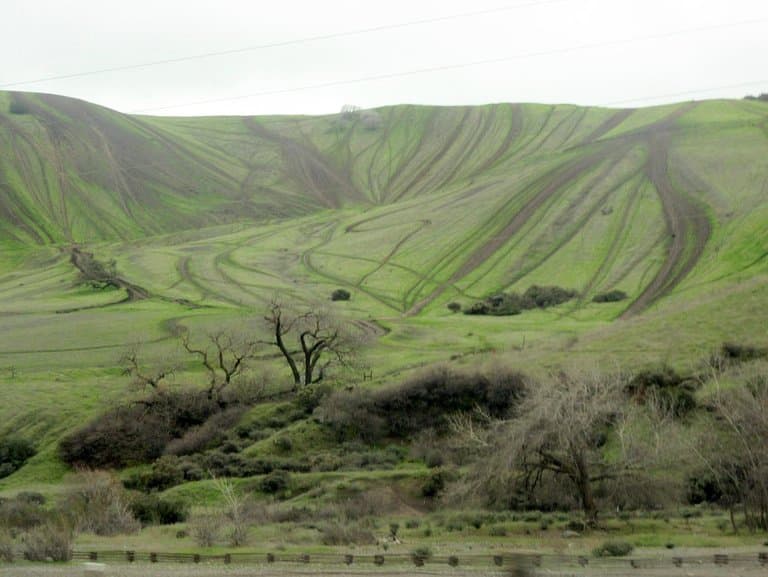 Carnegie State Vehicular Recreation Area, Tracy, Ca