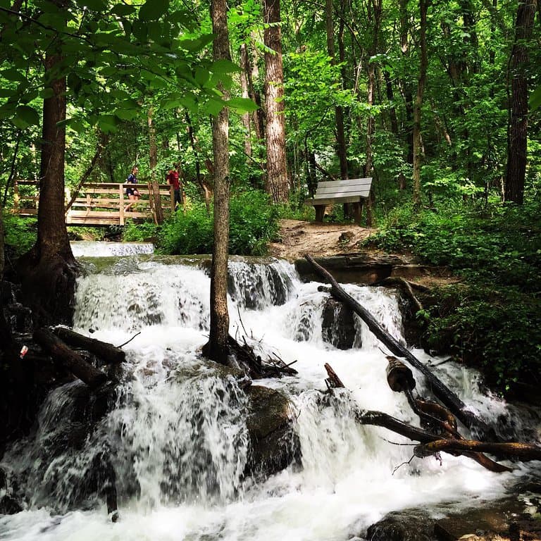 Parkville Nature Sanctuary