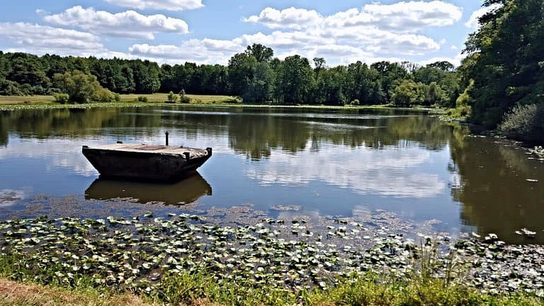 Shot of Willow Pond from the Bike Trail