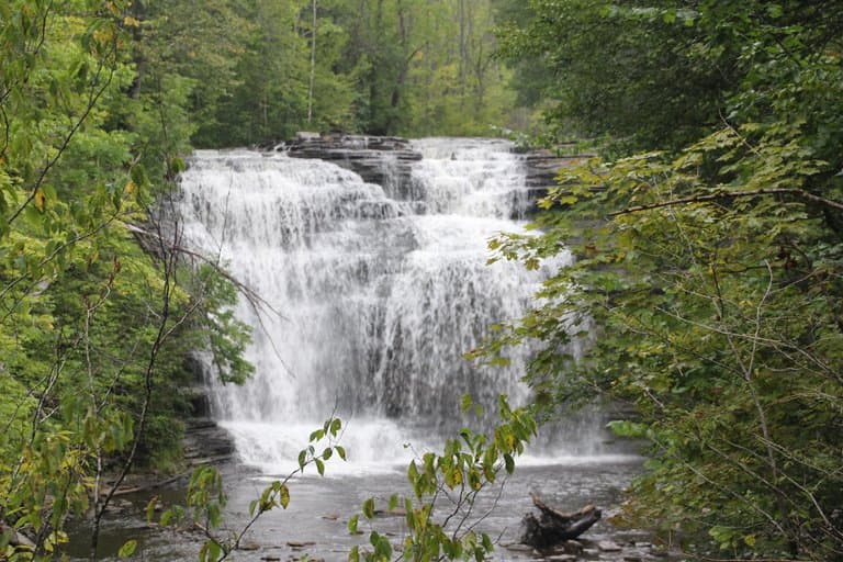 Pixley Falls State Park - View from the trail