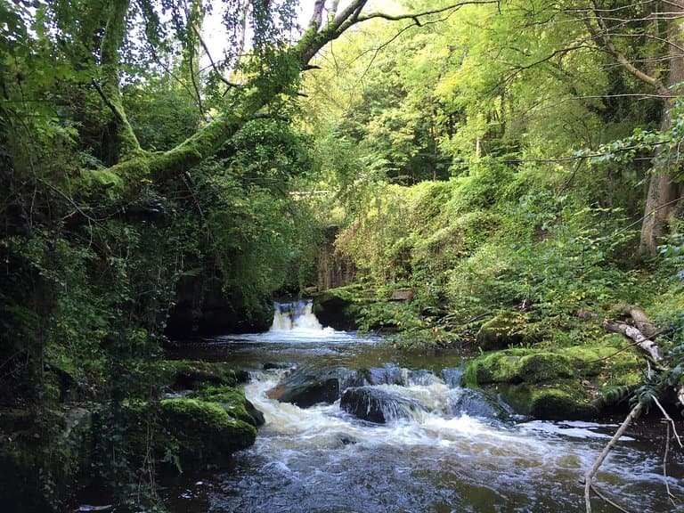 Clydach Gorge