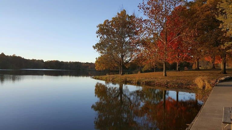 Homer Lake Forest Preserve