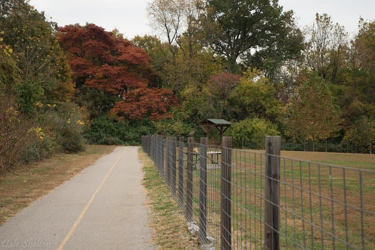 At the dog park