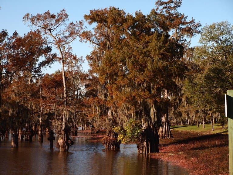Lake view