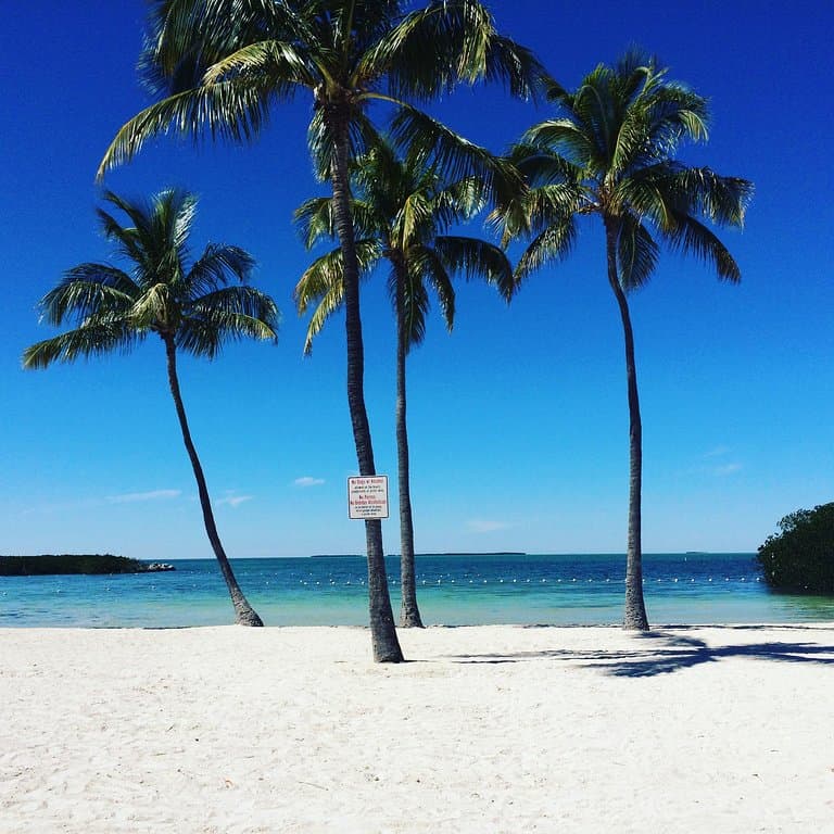 Kelsey-Hutchinson Founders Park