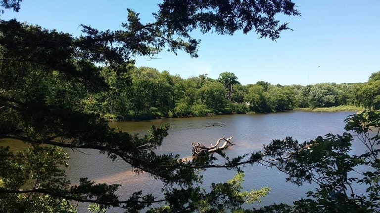 Cedar Rock State Park Walter House