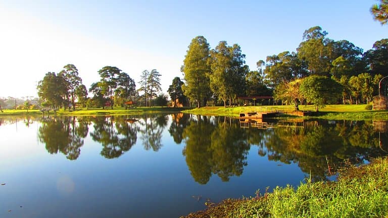 Amanhecer no Parque São José...