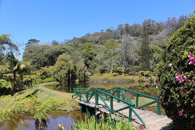 A bridge over the main pond to access one of the other areas 