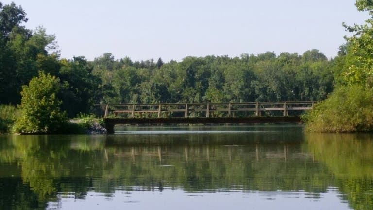 On the lake paddling around.