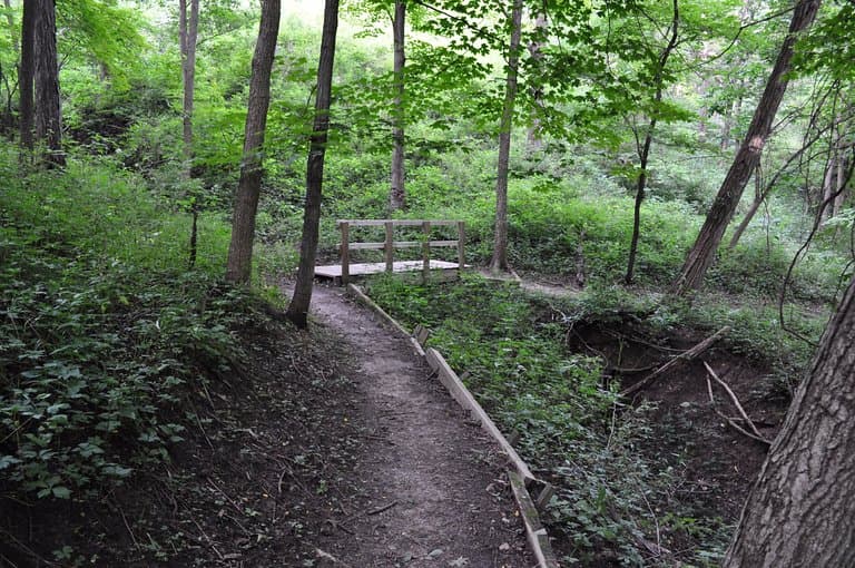 Robinson Park
