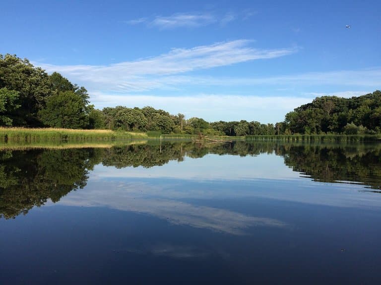 Busse Woods Trail Loop