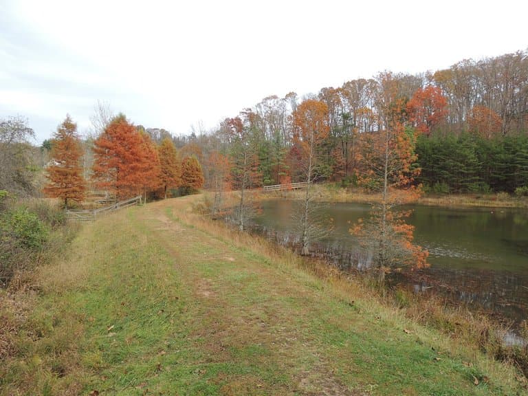 Pond at McDonough