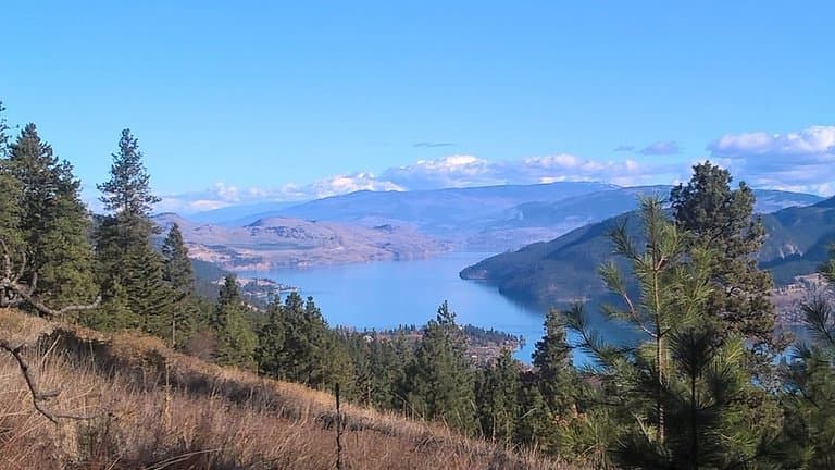 View from summit, top of Blue Trail