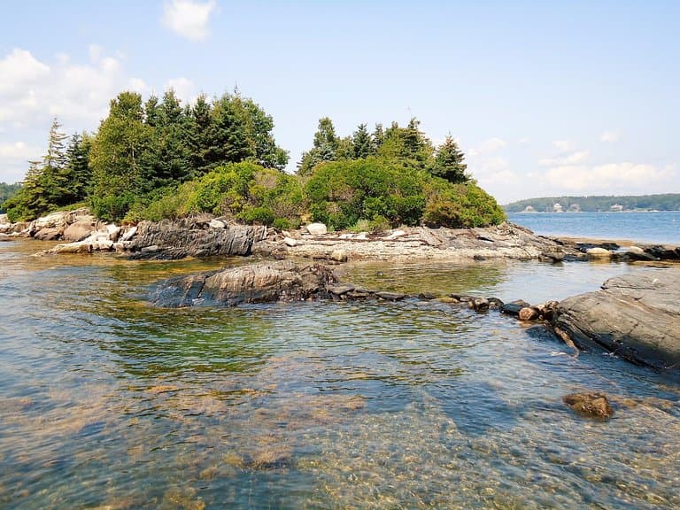 Cabbage Island 