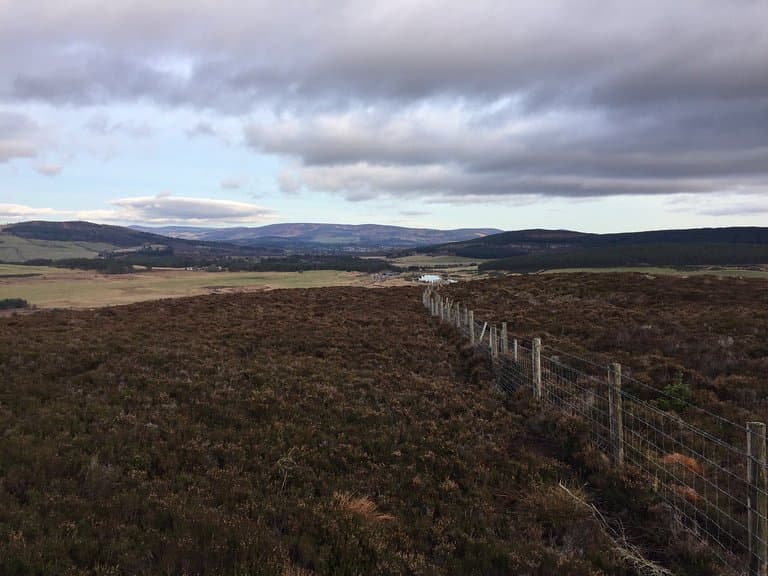 Performance enhancement training