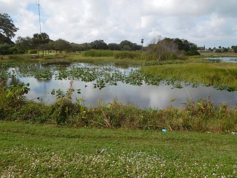 Snake Warrior's Island Natural Area