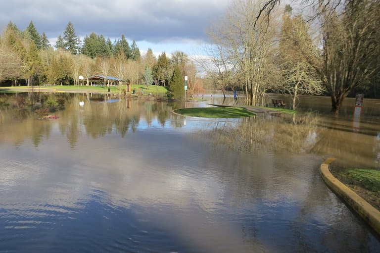 After hiking along the paved trail, we came to this flooded parking lot.