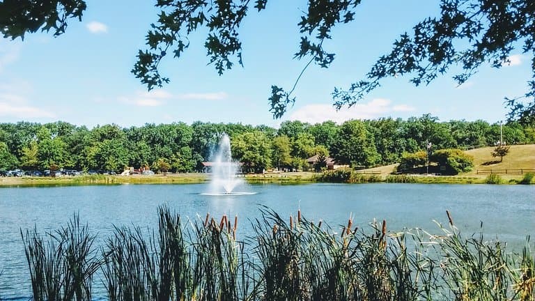 Our beloved little Park.