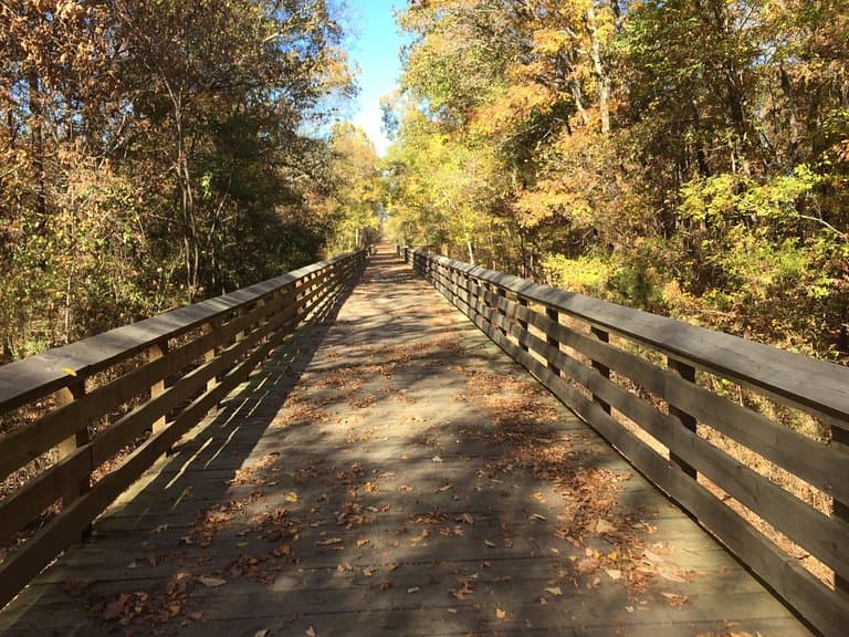 Bridge on the Tanglefoot Trail