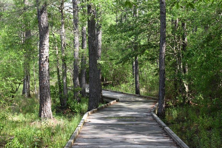 Big Thicket National Preserve Visitor Center