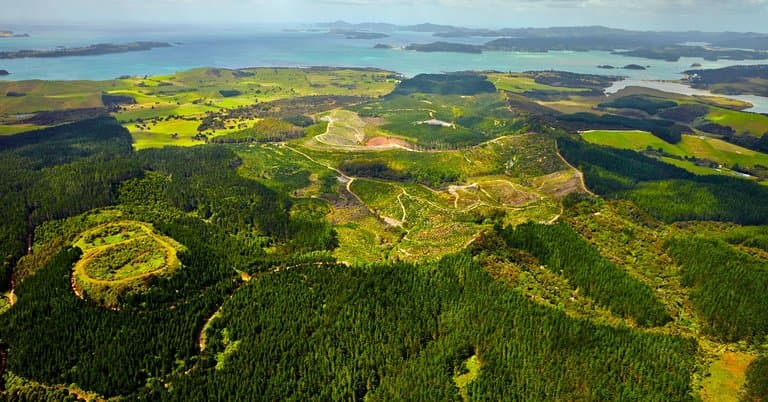 Waitangi Mountain Bike Park